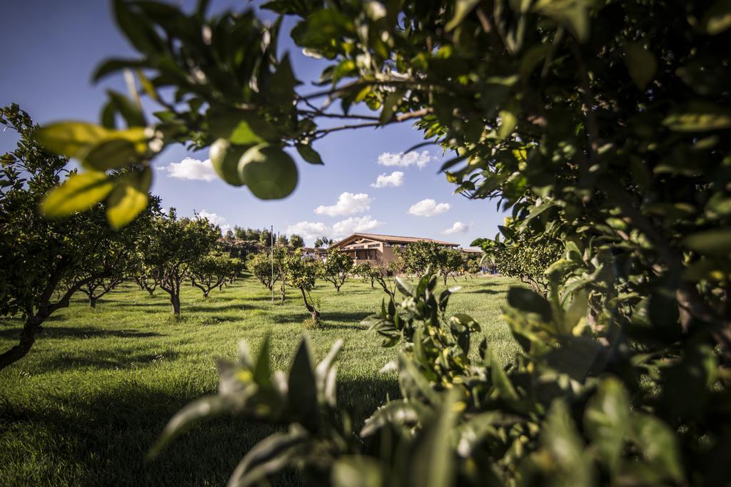 Agriturismo Il Giriatello Кротоне Екстериор снимка
