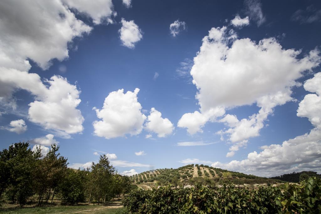 Agriturismo Il Giriatello Кротоне Екстериор снимка
