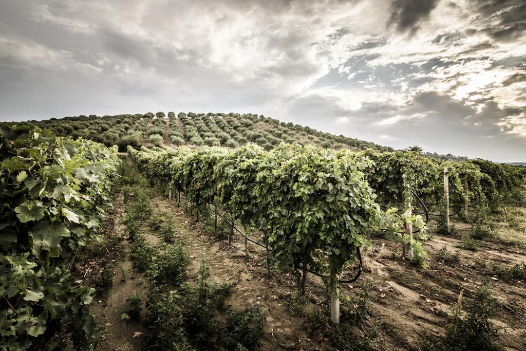 Agriturismo Il Giriatello Кротоне Екстериор снимка
