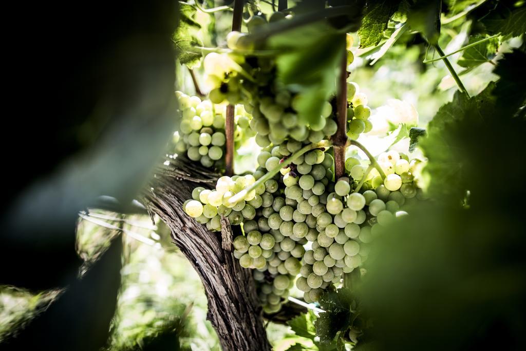 Agriturismo Il Giriatello Кротоне Екстериор снимка
