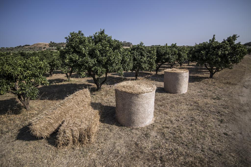 Agriturismo Il Giriatello Кротоне Екстериор снимка