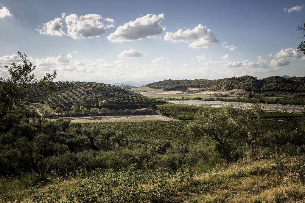 Agriturismo Il Giriatello Кротоне Екстериор снимка