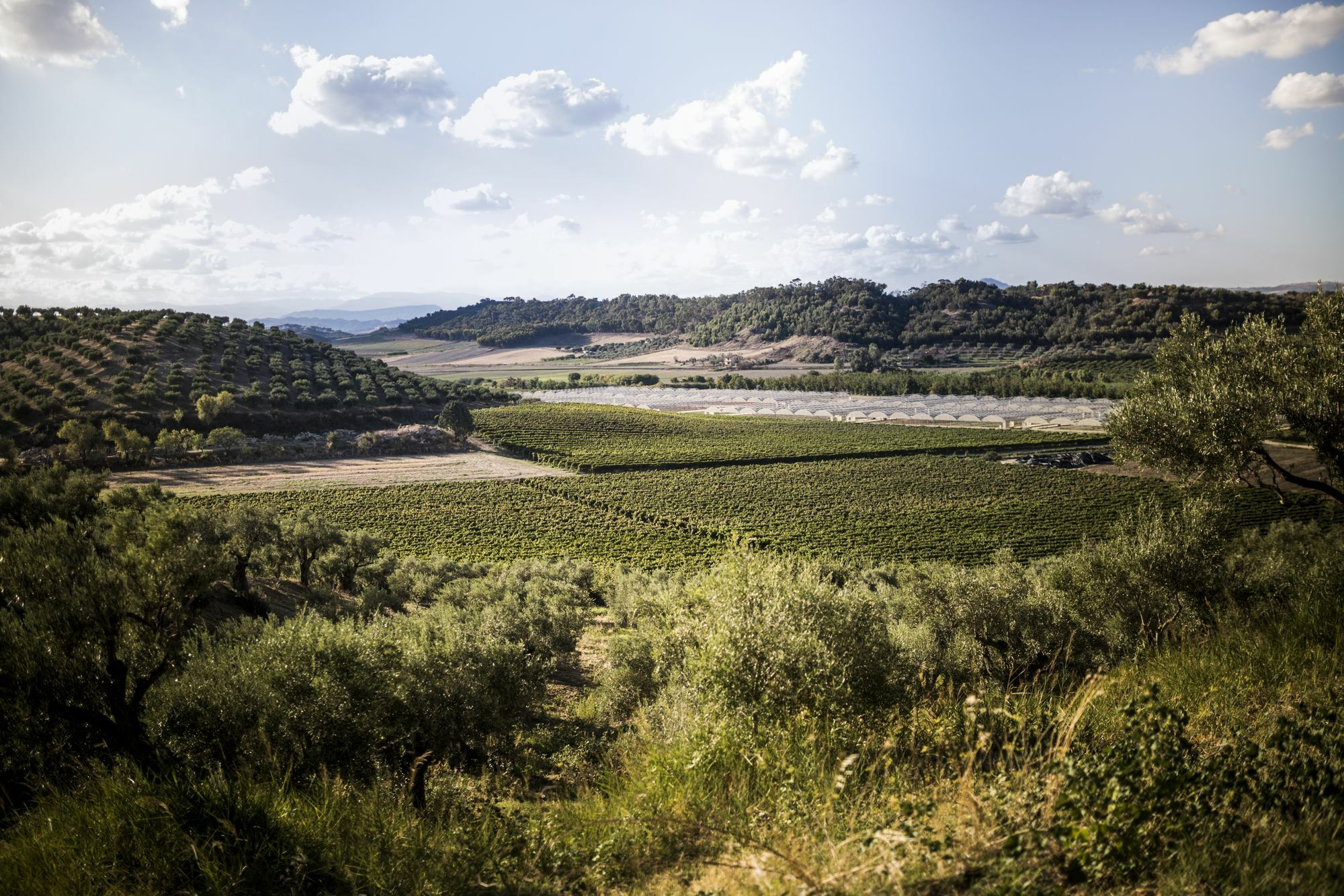 Agriturismo Il Giriatello Кротоне Екстериор снимка