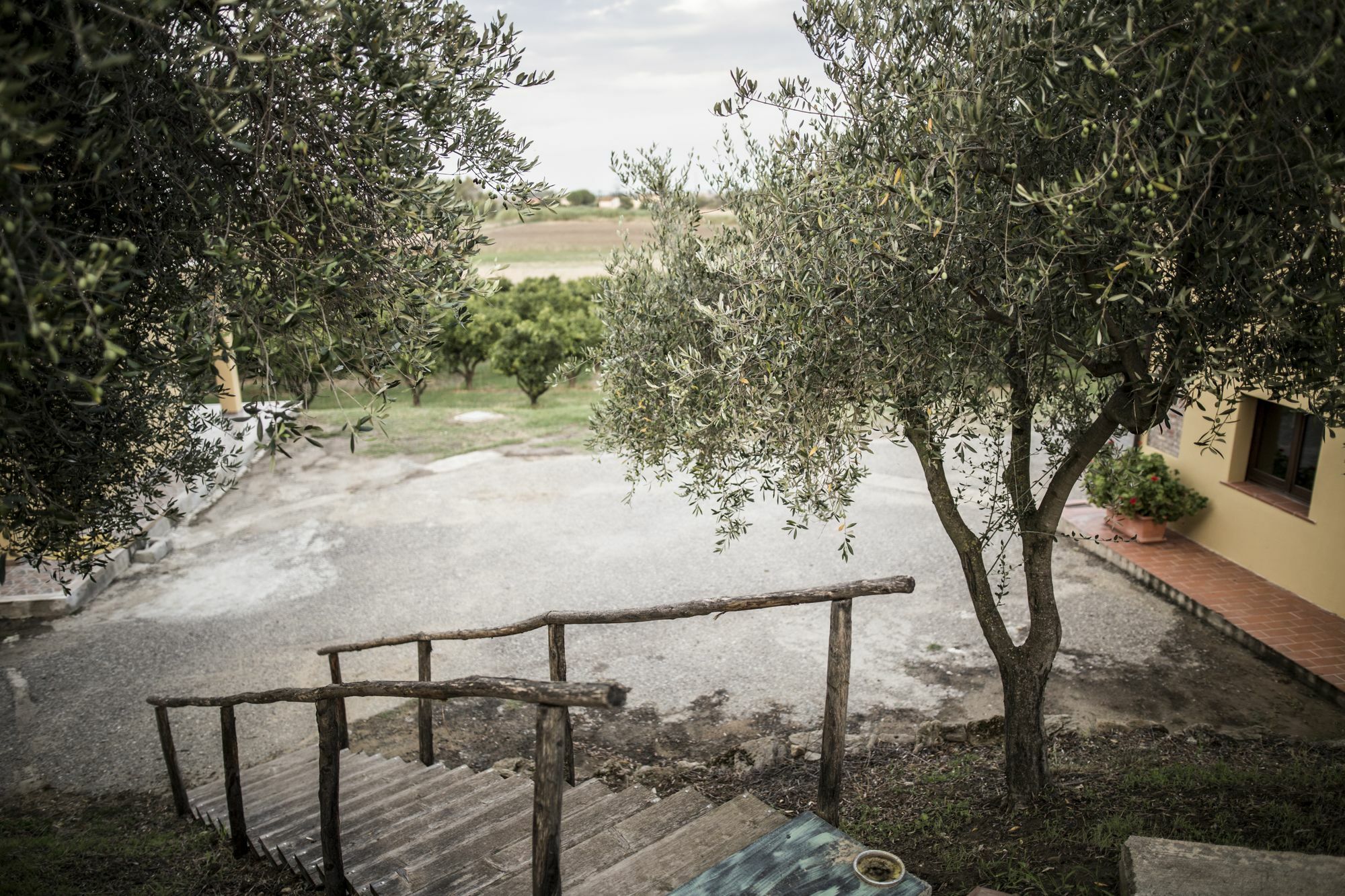 Agriturismo Il Giriatello Кротоне Екстериор снимка